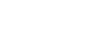 logo gotofit blanco